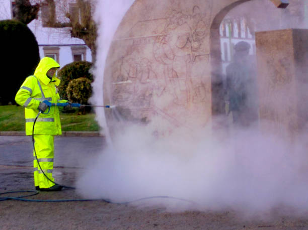 Best Roof Pressure Washing  in Murraysville, NC